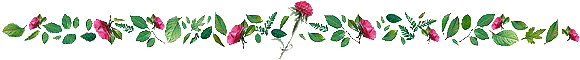 The Flower Bar